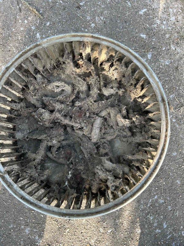 Replaced failed blower motor and performed thorough cleaning of heavily contaminated blower wheel and secondary heat exchanger. The blower wheel exhibited extensive accumulation of dust, dirt, and debris that had significantly impacted system airflow and efficiency. All components were cleaned, new motor installed, and system restored to proper operation.