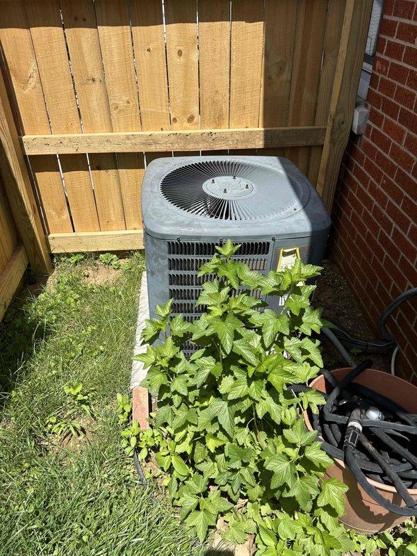 # HVAC Service Report - No Cooling Issue

Responded to service call for heat pump system blowing air but not cooling. Upon arrival, performed visual inspection of outdoor condensing unit and indoor air handler located in crawlspace.

Outdoor unit inspection revealed significant airflow restriction due to heavy vegetation growth surrounding and obstructing the condenser coil and ventilation grilles. Dense weeds and plant material had accumulated around the base and sides of the unit, preventing proper heat exchange and airflow. Cleared vegetation from around condensing unit perimeter to restore adequate clearance for proper operation.

Inspected indoor air handler in crawlspace. Unit appeared operational with no visible damage or disconnected components. Verified electrical connections and refrigerant lines were secure.

Educated homeowner on importance of maintaining minimum 24-inch clearance around outdoor unit and regular vegetation management to prevent future airflow restrictions. 