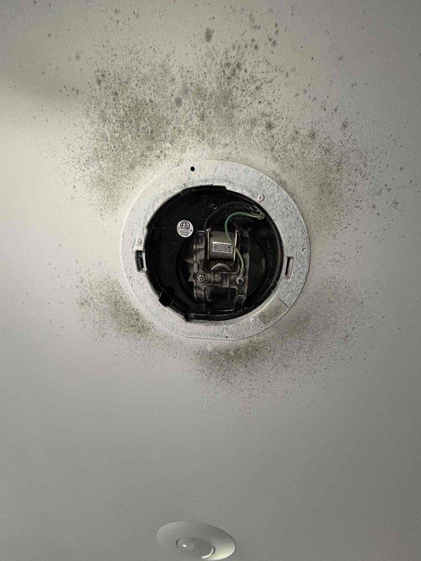 Responded to service call regarding bathroom exhaust ventilation concerns with visible mold growth and condensation issues. Upon inspection, discovered extensive mold contamination around ceiling-mounted exhaust fan fixture with significant spore dispersal pattern radiating outward from the unit. Verified exhaust ductwork routing through attic space to soffit termination point. Exterior soffit vent opening confirmed clear and unobstructed. Evidence suggests inadequate airflow, improper duct installation, or compromised duct integrity allowing moisture accumulation within the bathroom space. Documented conditions with photographic evidence showing severe microbial growth on ceiling surfaces and confirmed exterior termination point functionality. Recommended immediate remediation of mold contamination, complete duct inspection for proper sealing and insulation, verification of fan motor performance and CFM output, and potential duct replacement if condensation or disconnection found in a