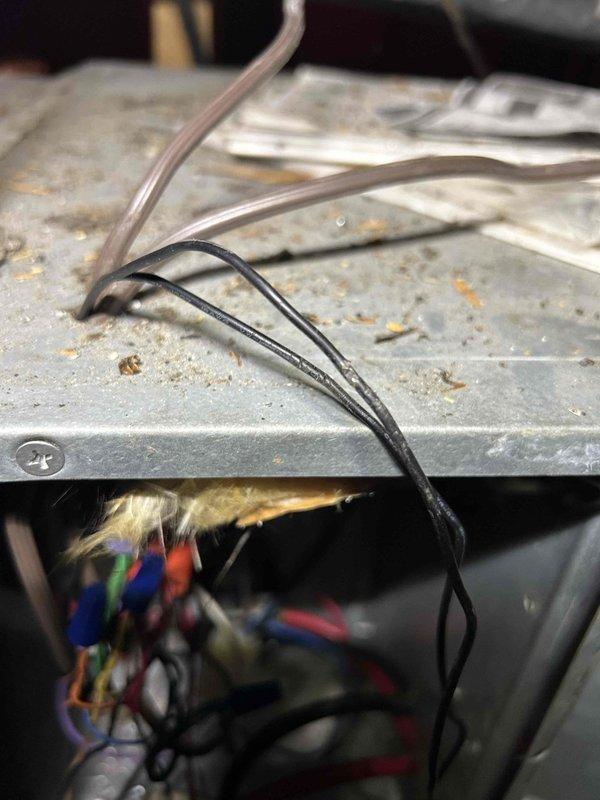 Responded to no-cooling call on 9-year-old upstairs AC unit that had previously been quoted for UV light installation. Upon arrival, performed diagnostic inspection of the system and documented exterior condition of equipment showing weathering and normal wear patterns. Inspected internal wiring compartments and electrical connections, capturing photos of panel surfaces and internal wiring bundles for service records.
