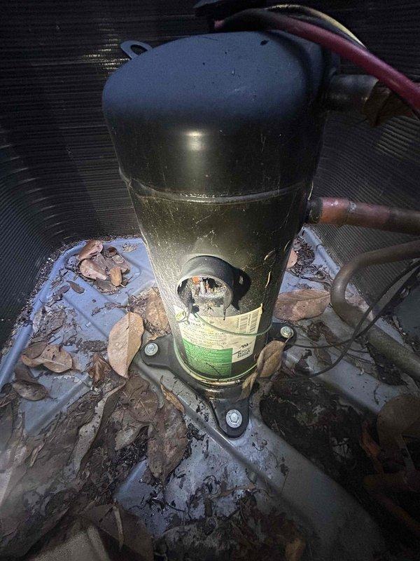 # HVAC Service Call - No Cooling Condition

Responded to service call for air conditioning system not providing cooling. Unit is approximately 3 years old. Upon arrival, performed visual inspection of outdoor condensing unit and found compressor with significant debris accumulation around base and mounting surface.

Inspected compressor unit and refrigerant line connections. Noted compressor mounted on metal base plate with copper refrigerant lines connected. Observed deterioration of mounting surface with peeling paint and rust-colored staining present. Heavy accumulation of dried leaves and organic debris found throughout equipment area and on base platform.

Cleaned debris from around compressor unit and base plate to ensure proper airflow and prevent future operational issues. Verified all electrical connections secure. Checked refrigerant line connections for proper sealing and integrity. Compressor unit itself appeared intact with manufacturer labeling visible and all connections