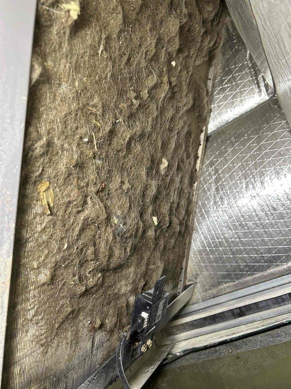 Technician performed warranty service inspection in attic space to assess HVAC system installation and ductwork condition. Upon inspection, identified need for warranty mitigation sensor installation, which will be completed during scheduled return visit pending tenant availability confirmation. Documented existing flexible ductwork installation with metallic ducting and reflective foil-faced insulation materials, noting proper support structure and insulation placement between roof joists. Captured photographic documentation of attic space conditions, including exposed wooden beams, pink fiberglass insulation between rafters, and OSB flooring with HVAC ductwork properly secured with black straps to structural beams.