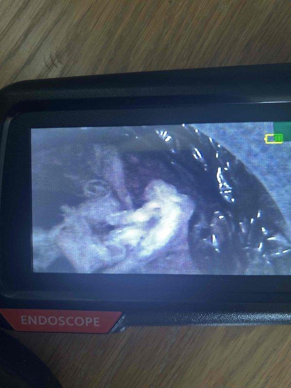 Responded to callback for system not cooling following previous day's TXV and filter drier replacement. Upon inspection, used endoscope camera to investigate ductwork and discovered significant lint and debris accumulation blocking airflow in supply duct. Removed obstruction and restored proper airflow to system, resolving cooling issue.