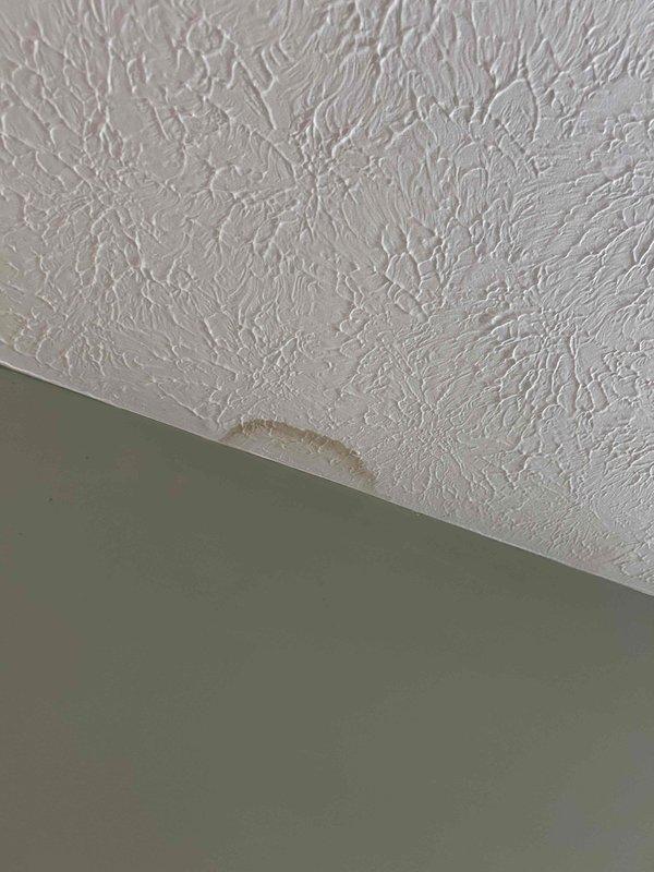 Conducted plumbing inspection in response to reported ceiling water stains. Upon arrival, identified and documented multiple brownish discoloration marks on textured ceiling surface near wall junction, measuring approximately 2-6 inches in length, indicating active moisture infiltration from plumbing system above. Photographed affected areas showing tan to light brown water damage patterns on white ceiling texture for documentation and further assessment of source location.