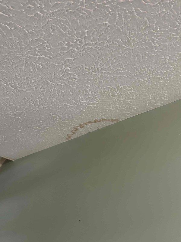 Conducted plumbing inspection in response to reported ceiling water stains. Upon arrival, identified and documented multiple brownish discoloration marks on textured ceiling surface near wall junction, measuring approximately 2-6 inches in length, indicating active moisture infiltration from plumbing system above. Photographed affected areas showing tan to light brown water damage patterns on white ceiling texture for documentation and further assessment of source location.