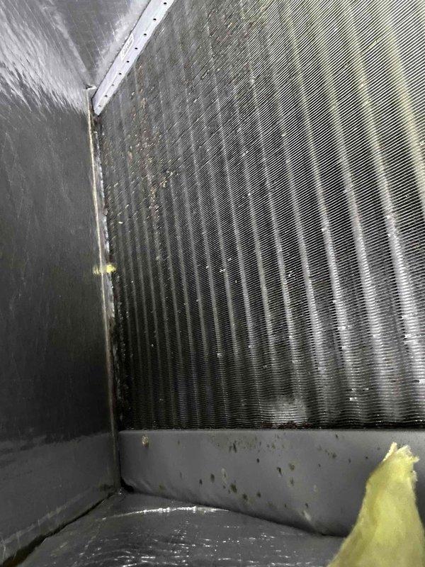 Responded to no-cool call on 3-year-old Bryant electric AC system serving upstairs zone. Upon arrival, found thermostat blank with no power. Diagnosed loss of power to air handler located in attic space. Inspected evaporator coil assembly and confirmed unit had accumulated dust and debris between fins. Restored power to system, verified proper operation of air handler and condensate drain pan. System returned to normal cooling operation with thermostat functioning properly.