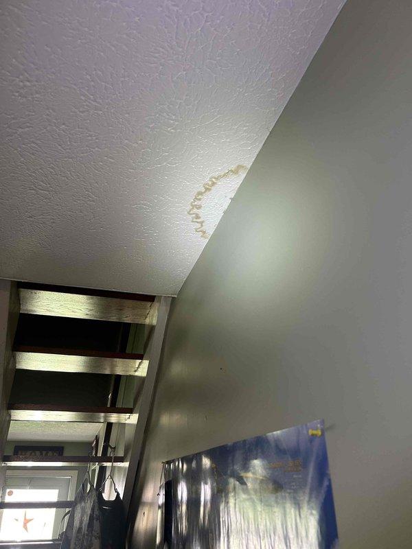 Responded to report of ceiling water stains and non-functional bathroom exhaust fan. Upon inspection, identified yellowish-brown water discoloration on textured ceiling near wall junction in bathroom area. Determined that inadequate ventilation from inoperative exhaust fan, combined with excessive indoor cooling, created conditions for condensation accumulation on ceiling surfaces. Documented multiple affected areas showing moisture damage and staining. Protective measures were deployed during assessment. Recommended exhaust fan repair or replacement to restore proper bathroom ventilation and prevent future condensation-related ceiling damage.