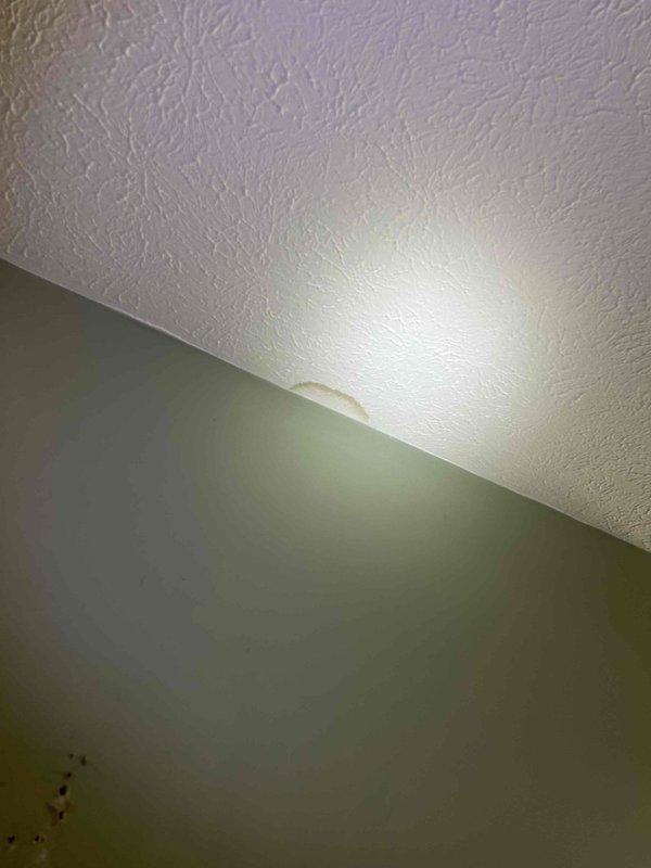 Responded to report of ceiling water stains and non-functional bathroom exhaust fan. Upon inspection, identified yellowish-brown water discoloration on textured ceiling near wall junction in bathroom area. Determined that inadequate ventilation from inoperative exhaust fan, combined with excessive indoor cooling, created conditions for condensation accumulation on ceiling surfaces. Documented multiple affected areas showing moisture damage and staining. Protective measures were deployed during assessment. Recommended exhaust fan repair or replacement to restore proper bathroom ventilation and prevent future condensation-related ceiling damage.
