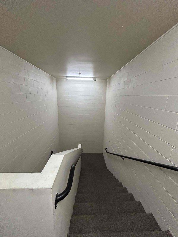 Conducted comprehensive assessment of lighting fixtures in front and rear stairwells and common areas of office condo building. Inspected fluorescent light fixtures mounted on ceilings throughout stairwell areas, identifying units with missing covers and non-functional bulbs requiring replacement. Documented existing conditions of ceiling-mounted fluorescent fixtures with protective covers and evaluated overall lighting system functionality in common areas accessible during regular business hours.