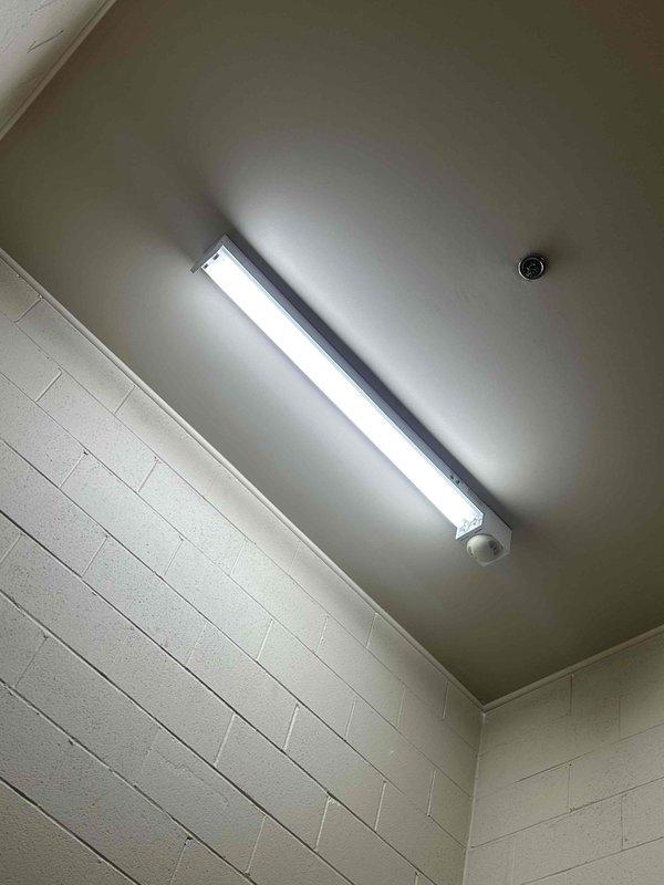 Conducted comprehensive assessment of lighting fixtures in front and rear stairwells and common areas of office condo building. Inspected fluorescent light fixtures mounted on ceilings throughout stairwell areas, identifying units with missing covers and non-functional bulbs requiring replacement. Documented existing conditions of ceiling-mounted fluorescent fixtures with protective covers and evaluated overall lighting system functionality in common areas accessible during regular business hours.