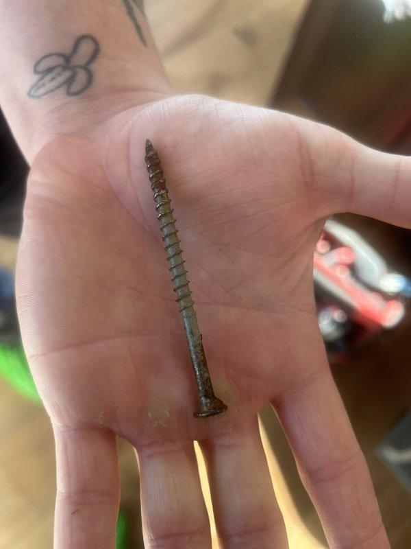 Responded to service call for garbage disposal unit not turning on. Upon inspection, discovered corroded mounting screw had failed, causing the disposal to become loose and preventing proper electrical connection. Removed deteriorated fastener, secured unit with new hardware, and verified proper operation. Unit tested successfully and returned to full functionality.