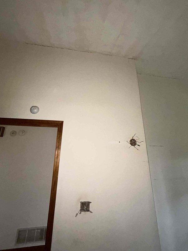 Conducted comprehensive electrical assessment for residential remodel project involving multiple fixture and outlet installations. Evaluated locations for ceiling fan installations in rooms with knotty pine ceiling construction, inspected non-functioning outlets requiring repair or replacement, and identified optimal placement for new outlet installations throughout the property. Provided detailed estimate covering all electrical work needed to support the remodeling scope.