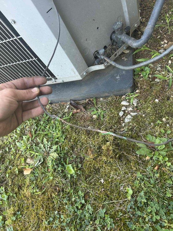 Conducted comprehensive site survey to document all HVAC equipment specifications, including model numbers, filter dimensions, and belt sizes for maintenance agreement proposal. Inspected rooftop unit accessible through ceiling plenum and exterior condensing unit, photographing equipment nameplates and components to ensure accurate parts inventory and service scheduling requirements.