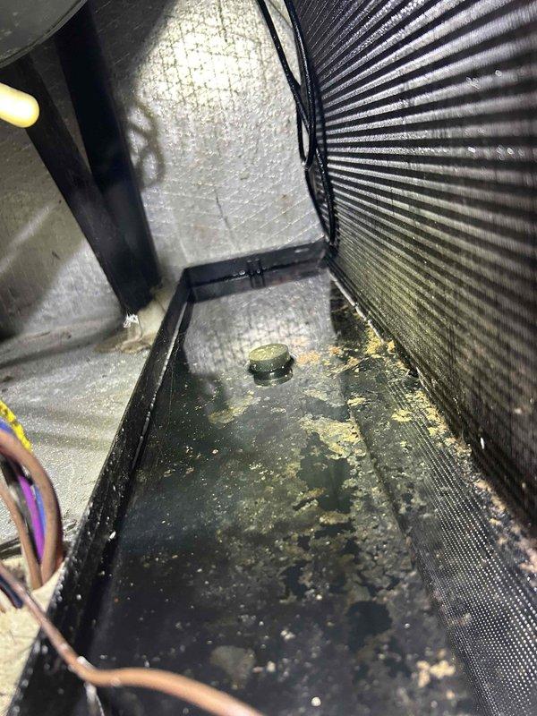 Responded to no cooling complaint on 15-year-old residential air conditioning system. Upon arrival, confirmed indoor blower motor operating but no cool air delivery throughout home. Performed system diagnostics including amperage draw testing on outdoor unit using clamp meter, which revealed minimal current draw indicating compressor failure to engage. Inspection of indoor evaporator coil and drain pan showed significant sediment accumulation and standing water with debris, indicating inadequate drainage and lack of routine maintenance. Identified failed compressor and/or associated electrical components as root cause of no cooling condition. Due to age of system and extent of deferred maintenance, provided customer with repair versus replacement options and recommendations for 15-year-old equipment.