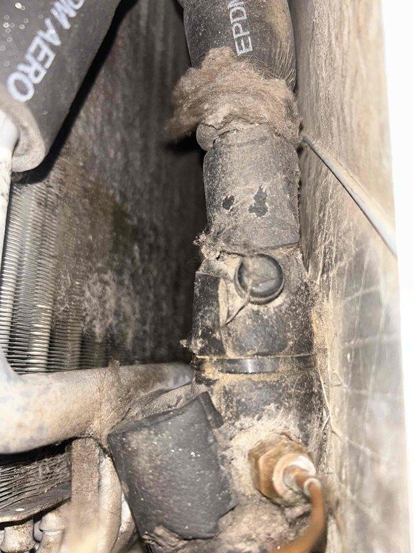 Responded to no airflow complaint on 7-year-old electric heat pump system. Upon arrival, performed diagnostic inspection of indoor air handler unit. Found blower motor had failed, preventing air circulation through the system. Observed significant dust and debris accumulation on evaporator coil and throughout air handler cabinet, indicating extended period without filter maintenance. Inspected flexible ductwork and found deteriorated insulation and surface staining consistent with age and lack of maintenance. Replaced failed blower motor and capacitor. Cleaned evaporator coil and cabinet interior. Verified proper airflow restoration and system operation. Advised ongoing filter maintenance requirements to prevent future issues.