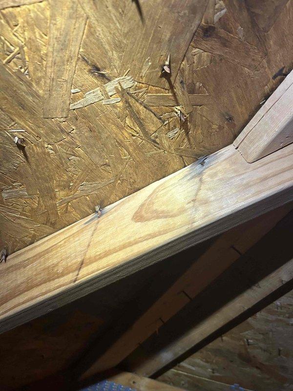 Responded to attic-mounted indoor unit with reported water leak. Upon inspection, identified minimal moisture present at drain line connections. Examined primary condensate drain system including PVC drain line and trap assembly. Verified proper pitch and drainage flow. Inspected surrounding insulation and structural components for water damage or staining. Documented conditions with photographic evidence showing drain line configuration and attic framing. System evaluated and operational at time of service.
