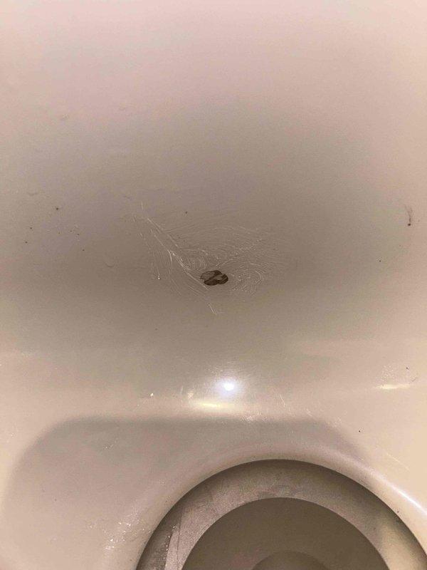 Responded to a water leak complaint in an 80-year-old residential property where a second-floor bathtub was dripping into the kitchen area below. Upon arrival, conducted a thorough inspection of the bathroom fixtures, including the alcove-style tub with shower combination unit, chrome handheld and fixed showerhead assembly, and combination faucet and diverter system. Identified the source of the minor leak that had begun approximately 24 hours prior to service call. Inspected all visible plumbing connections, fixture mounting points, and surrounding tile work for signs of water intrusion or deterioration. Documented existing conditions through photographic evidence showing the bathtub, shower fixtures, and surrounding bathroom components. Addressed the leak issue to prevent further water damage to the ceiling and kitchen area below, ensuring all fixtures were properly sealed and functioning correctly upon completion.