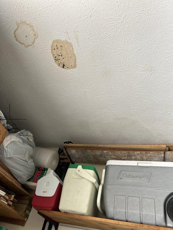 Responded to intermittent water leak in main upstairs bathroom. Upon inspection, identified water damage and staining on ceiling below bathroom, with visible tan-colored patches and potential mold growth indicating ongoing moisture intrusion. Investigated leak source, documented damage extent through photography, and assessed affected areas including ceiling texture and surrounding storage space. Recommended further investigation of bathroom plumbing fixtures and drainage systems to identify intermittent leak source and prevent additional water damage.