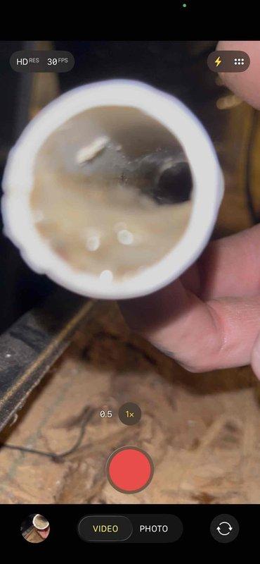 Responded to no cooling call with blank thermostat on 11-year-old electric AC system with indoor unit located in attic. Upon inspection, discovered condensate drain line completely blocked with biological growth and sediment buildup, causing safety float switch to trip and shut down system. Cleared blockage from drain line, flushed system, verified proper drainage, and restored power to unit—thermostat display returned and system resumed normal operation.