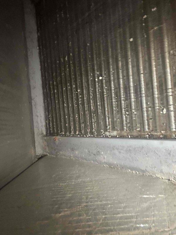 Completed preventive maintenance tune-up on heat pump and air handler system located in basement. Performed comprehensive inspection revealing significant dust accumulation on blower motor assembly, electrical connections, and interior ductwork surfaces with visible dark staining and debris buildup. Cleaned and serviced all accessible components, inspected electrical wiring bundles and connections, verified motor operation, and documented system condition with photographs. Customer provided 20x20x1 filter for replacement during service visit.