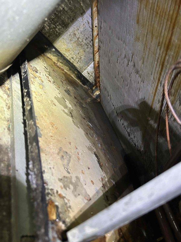 Completed comprehensive Club Trio maintenance service on multi-zone HVAC system consisting of 2 indoor air handlers and 3 outdoor condensing units located in basement and attic. Performed thorough inspection and tune-up procedures on heat pump/air handler, gas furnace/air conditioner, and additional air conditioning system per recurring service agreement.

Conducted detailed assessment of all equipment, including visual inspection of evaporator coils, blower assemblies, drain pans, and condensate systems. Documentation revealed significant dust and debris accumulation on evaporator coil fins and heavy biological growth with water staining in condensate drain pan, indicating extended service interval and moisture exposure. Blower wheel showed operational condition with moderate dust buildup on housing components.

Performed standard preventive maintenance protocols including system operational checks, electrical connection inspections, refrigerant level assessments, and airflow evaluati