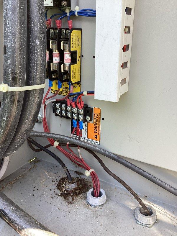 Conducted comprehensive electrical assessment for generator replacement evaluation. Inspected existing electrical infrastructure including main distribution panel containing 42-circuit breaker configuration with proper numerical sequencing and warning labels intact. Panel showed good overall condition with clean installation and proper circuit identification.

Evaluated outdoor electrical disconnect serving existing equipment, which contained BUSS-brand fuse blocks with cartridge fuses and associated terminal connections. Assessed adequacy of existing wiring configuration including conductor sizing and routing through wall penetrations. Noted condition of refrigerant line set and associated HVAC electrical service connection to determine compatibility requirements for potential generator installation.

Documented electrical service capacity, disconnect specifications, and available connection points to provide accurate specifications for both air-cooled and liquid-cooled generator repl