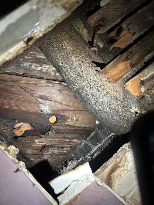 Responded to water leak from indoor HVAC unit located in second-floor drop ceiling that had been actively leaking since 2am. Upon arrival, found significant water damage to ceiling structure with compromised drywall, visible water staining, and structural deterioration around the affected area. Accessed the unit through damaged ceiling section where PVC condensate drain line and flexible ductwork were exposed. Inspection revealed extensive moisture damage to wooden framing members and support beams in the ceiling cavity, with severe discoloration and deterioration indicating prolonged water exposure. Documented all damage with photographic evidence showing compromised wall surfaces, exposed plumbing infrastructure, and affected structural components. Identified source of water intrusion and assessed extent of damage to both HVAC components and building structure for repair recommendations.