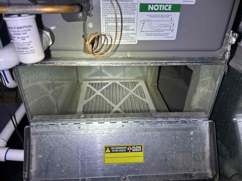 Completed annual Gold Level preventive maintenance on single-system heat pump with air handler located in basement. Performed comprehensive inspection of blower motor assembly and air filter housing, verified proper operation of all mechanical and electrical components, and documented system condition through photographic records. Customer provided their own air filter for the unit per service agreement terms.