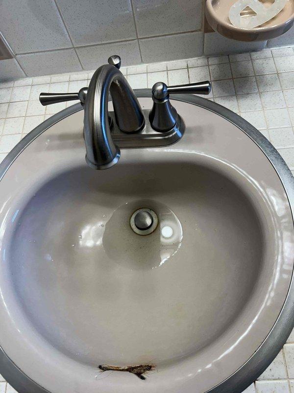 Responded to service call for non-draining upstairs bathroom sink. Upon inspection, assessed the white ceramic basin with chrome faucet assembly and identified drainage obstruction. Performed drain clearing procedures to restore proper water flow through the P-trap and drain line, successfully resolving the clog and returning the fixture to normal operation.