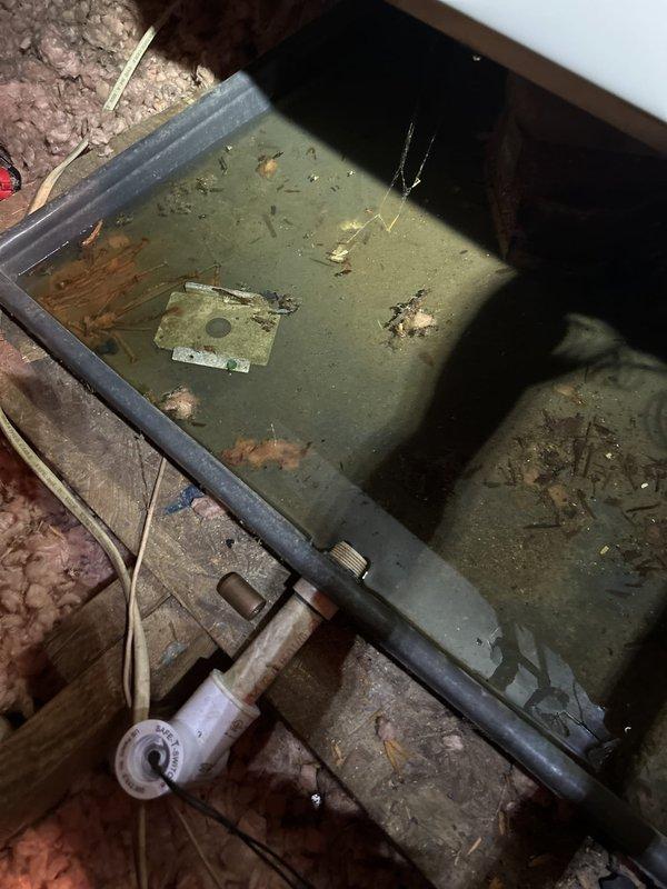 Responded to no cooling complaint on upstairs electric air handler installed March 2023. Upon arrival, found thermostat calling for cooling with indoor temperature reading 75°F against 70°F setpoint. Accessed attic-mounted air handler and discovered primary condensate drain line completely blocked with debris and biological growth. Secondary drain pan filled with standing water containing sediment and organic matter, indicating prolonged drainage failure that triggered float switch safety shutoff. Cleared condensate blockage from primary drain line, removed accumulated water and debris from emergency overflow pan, treated drain system with biocide tablets to prevent future algae growth, and verified proper drainage flow. Tested system operation with all safeties functioning correctly and unit cooling normally upon departure.