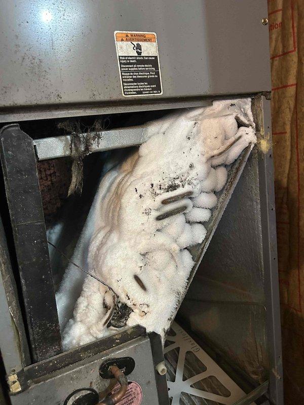 Responded to no cooling complaint on 14-year-old electric air conditioning system. Upon inspection, found evaporator coil completely frozen with extensive ice buildup throughout the indoor unit located in laundry room. Discovered severely restricted airflow caused by heavily contaminated evaporator coil with significant accumulation of dust, debris, and biological growth on coil surfaces. System unable to operate efficiently due to combination of frozen coil condition and obstructed airflow across heat exchanger. Documented conditions with photographs showing extent of ice formation and contamination for customer records.