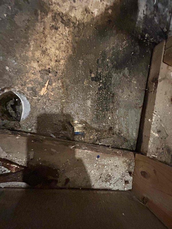 Responded to no cooling call at commercial facility. Found older indoor HVAC unit in basement had overflowed, causing extensive water damage to surrounding carpet and flooring. Upon inspection, discovered significant moisture intrusion had affected subflooring, wall materials, and concrete surfaces in the mechanical room area. Evidence of prolonged water exposure was visible with dark staining and deterioration on wooden framing members, subflooring, and concrete walls. Assessed drainage system failure as source of overflow. Documented extensive damage to building materials including compromised drywall, water-damaged wood framing, and saturated carpeting. Provided floor fan to assist with drying process to mitigate further moisture damage and potential mold growth in affected areas.