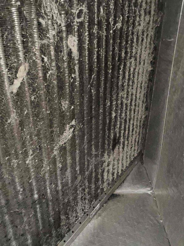 Completed Club Duo maintenance service on HVAC system. Performed comprehensive inspection of indoor air handler unit, documenting significant dust and debris accumulation on evaporator coil fins and internal components, including flexible ductwork and blower housing area. System operational at time of service completion.