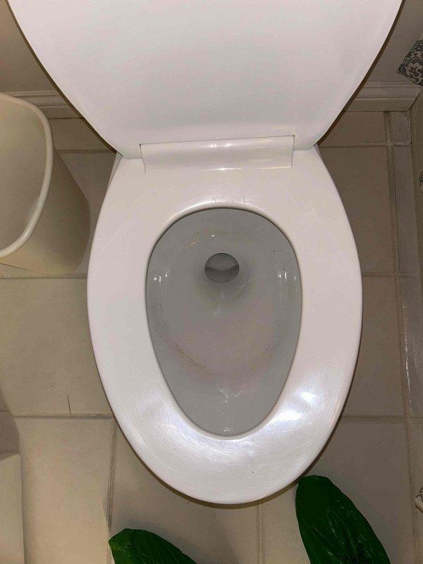Responded to plumbing leak investigation originally identified by HVAC technician. Inspected bathroom fixture above affected area to determine source of water intrusion. Performed visual inspection of toilet and surrounding plumbing components, including removal of toilet tank lid to examine internal flush valve assembly, flapper mechanism, and fill valve for signs of leakage or malfunction. Documented conditions of toilet bowl, tank interior, and visible plumbing connections. Mineral deposits and water staining observed in tank interior consistent with normal use patterns.