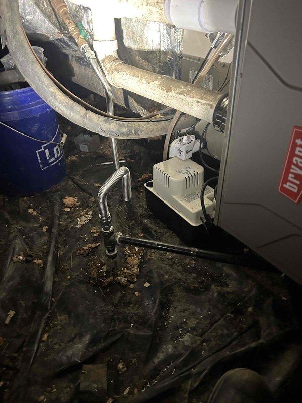 Completed full residential HVAC system replacement in crawlspace installation, removing and disposing of existing equipment. Installed Bryant 97% efficiency gas furnace (Model 916SA48060M17), 2-ton air conditioning condensing unit (Model GA5SAN52400W), and 2-ton evaporator coil (Model CVAMA2417XMA) with digital thermostat. 

Navigated equipment through confined crawlspace using PVC pipe sections as rollers to protect equipment and facilitate transport. Connected furnace to existing flue piping with proper venting and installed flame rollout protection. Installed flexible gas line connector with gas shutoff switch and electrical shutoff switch per code requirements. Added transition to evaporator coil with standard-sized air filter rack.

Outdoor installation included setting condensing unit on equipment pad, installing electrical whip kit and disconnect box, and running insulated refrigerant lines between indoor and outdoor components. Charged system with refrigerant and verified prope