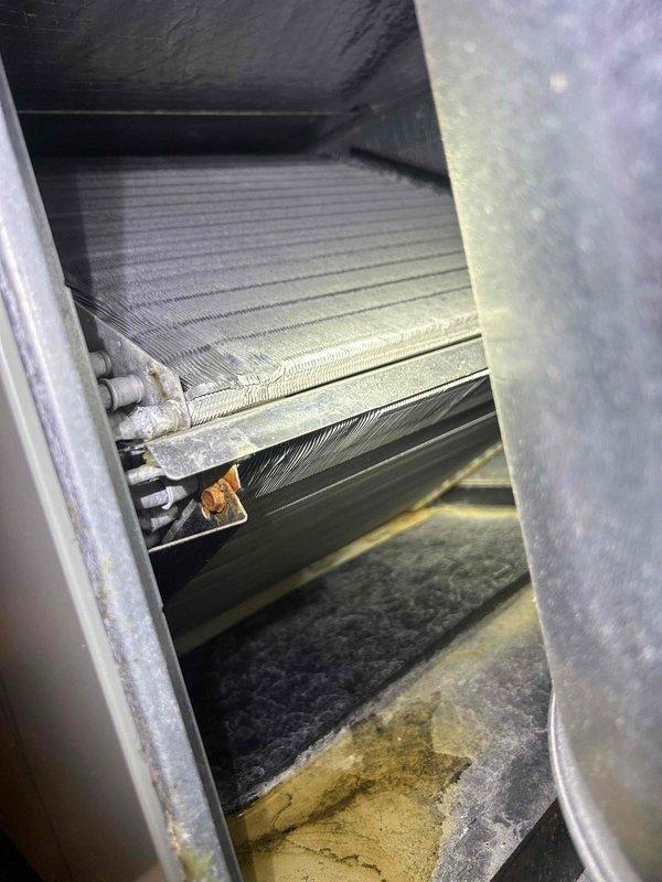 Completed comprehensive Care Plan maintenance on dual HVAC system with heat pump and air handler units located in basement and attic. Performed thorough inspection of both evaporator coil assemblies, confirming fins were clean and in good condition with proper airflow clearance. Documented drain pan condition, noting mineral deposits and moisture staining that will require monitoring. Verified system operation and took diagnostic readings at multiple test points to ensure proper performance parameters across both units.