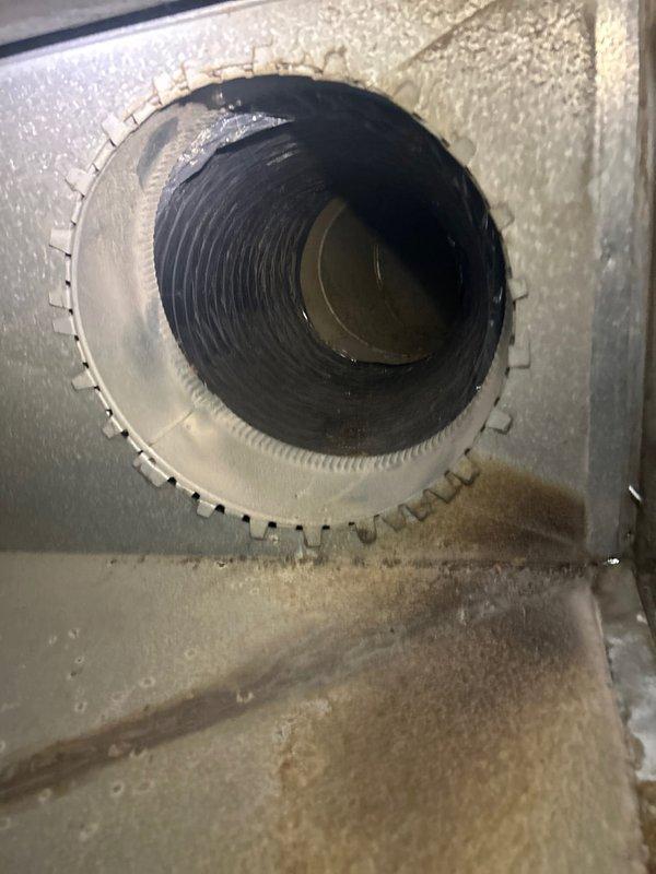 Completed seasonal air conditioning tune-up and maintenance on gas furnace system located in crawl space as part of club membership plan. Performed standard inspection procedures, documented interior ductwork conditions showing flexible duct connections and typical dust accumulation within air handling unit plenum, with customer supplying their own filter for the service visit.