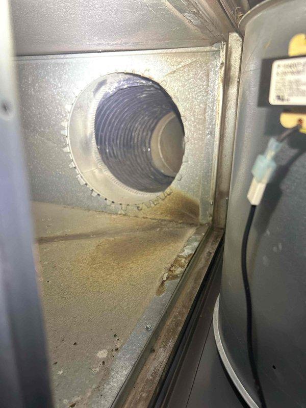 Completed seasonal air conditioning tune-up and maintenance on gas furnace system located in crawl space as part of club membership plan. Performed standard inspection procedures, documented interior ductwork conditions showing flexible duct connections and typical dust accumulation within air handling unit plenum, with customer supplying their own filter for the service visit.