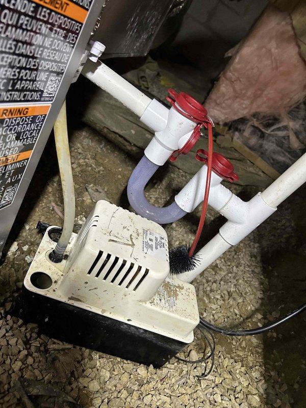 Completed Gold Level prepaid maintenance on single-system heat pump and air handler. Performed comprehensive system inspection including electrical diagnostics with multimeter showing 180A and 0.3V AC readings at equipment. Inspected and photographed condensate pump assembly with PVC drain configuration, P-trap, and safety switches in crawlspace location, confirming proper operation and drainage into containment pan. All components operating within normal parameters with no deficiencies noted.