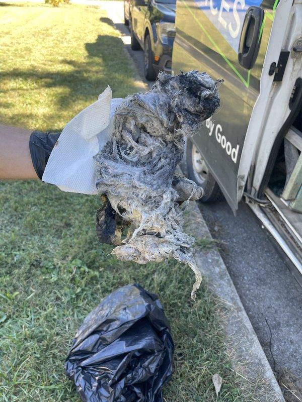 Responded to backup issues affecting toilet and tub, with suspected main drain obstruction. Upon arrival, determined floor had been removed for access and completed main drain cleanout. Extracted significant accumulation of fibrous material, lint, and debris causing the blockage. The clog material removed showed heavy buildup consistent with washing machine discharge contributing to the main line obstruction. Cleared drain line and restored proper flow to all affected fixtures.