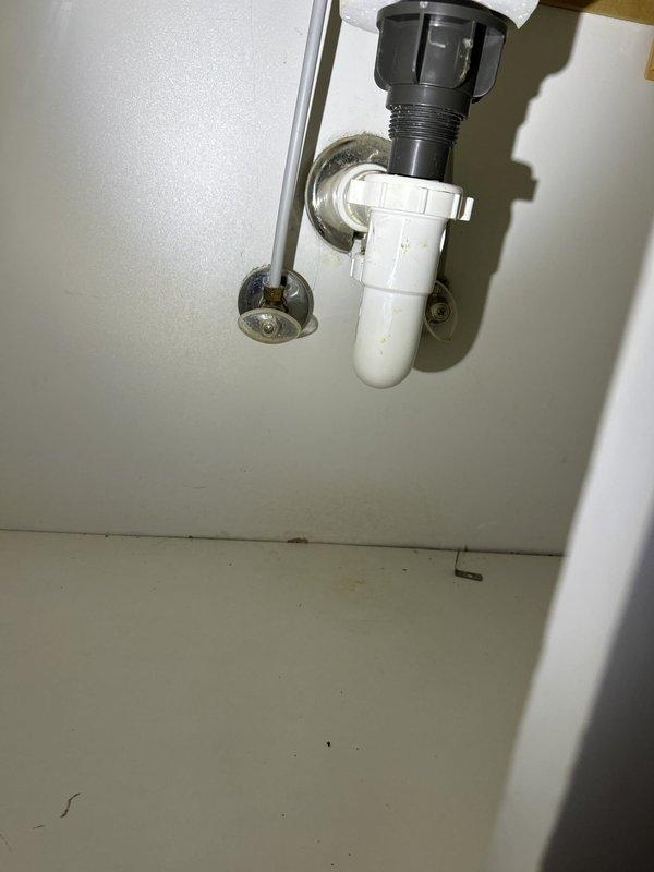 Performed routine maintenance flush on a 6-year-old gas tanked water heater located in the utility room. Conducted comprehensive whole home plumbing inspection, examining all visible fixtures and connections. All plumbing components, including bathroom sink drains and P-trap assemblies, were found to be in standard working condition with no leaks or deficiencies noted.