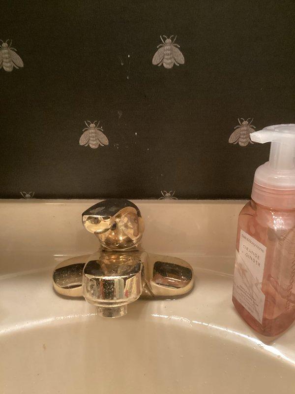 Completed routine plumbing inspection of bathroom fixtures and sink area as part of preventative service agreement. Documented condition of chrome and brass faucet assemblies, verified proper operation of hot and cold water handles, and assessed overall plumbing fixture status for maintenance planning purposes.