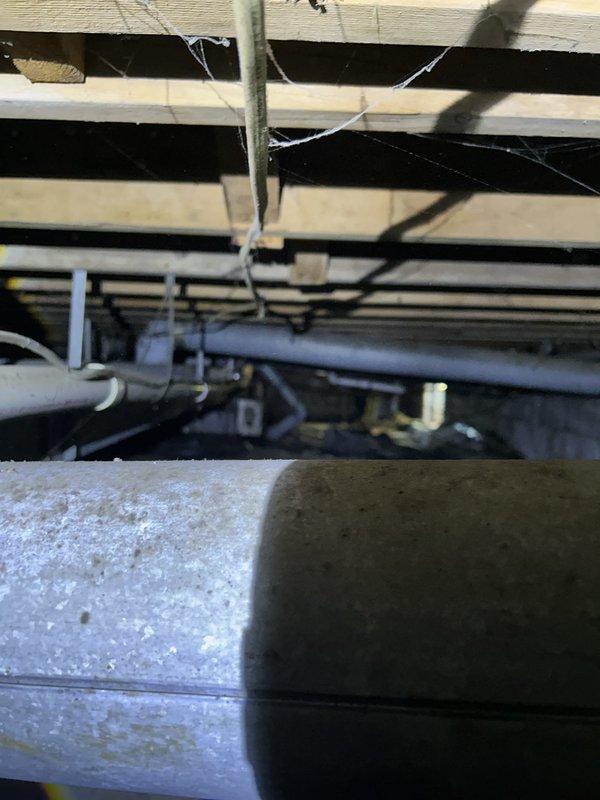 Completed comprehensive whole-home plumbing inspection including crawlspace utility infrastructure and bathroom plumbing systems. Inspected undercarriage plumbing lines, support systems, water supply lines, drainage pipes, and all visible fixtures per preventative service agreement protocol without performing flush testing as specified.