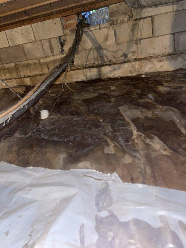 Responded to basement water leak complaint and identified steady moisture infiltration in crawlspace area. Upon inspection, discovered HVAC condensation line was not properly routed to exterior, causing continuous water discharge onto crawlspace floor. Extensive dark staining and moisture damage was evident on concrete floor surface, indicating prolonged water exposure. Rerouted condensation drain line to discharge outside of crawlspace, preventing further water accumulation and potential foundation damage. Documented existing moisture damage with photographs for record purposes.