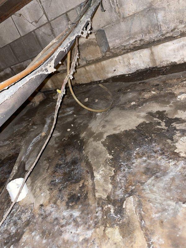 Responded to basement water leak complaint and identified steady moisture infiltration in crawlspace area. Upon inspection, discovered HVAC condensation line was not properly routed to exterior, causing continuous water discharge onto crawlspace floor. Extensive dark staining and moisture damage was evident on concrete floor surface, indicating prolonged water exposure. Rerouted condensation drain line to discharge outside of crawlspace, preventing further water accumulation and potential foundation damage. Documented existing moisture damage with photographs for record purposes.
