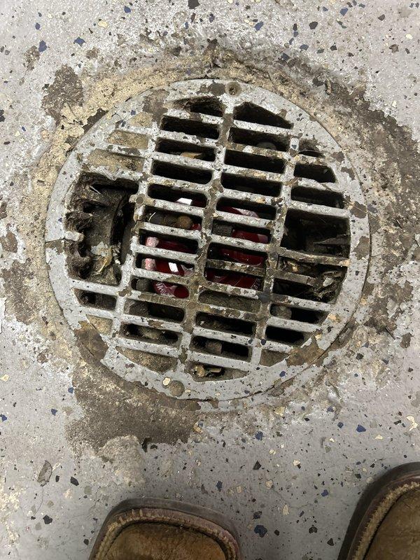 Completed plumbing repair service involving the installation of plugs in two interior floor drains. Both drains showed evidence of corrosion and weathering on the metal grates, with visible rust accumulation and discoloration around the drain openings in the concrete flooring. Successfully plugged both floor drain openings to prevent sewer gas infiltration and secure the drainage system as requested.
