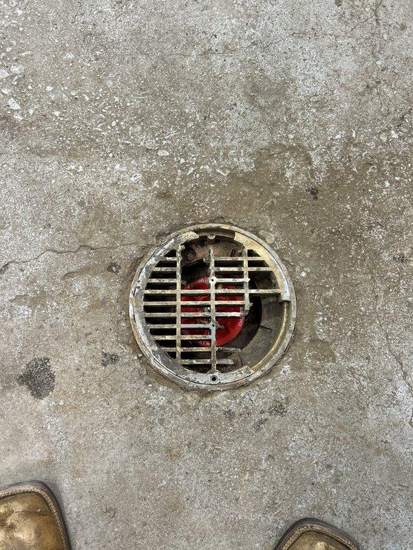 Completed plumbing repair service involving the installation of plugs in two interior floor drains. Both drains showed evidence of corrosion and weathering on the metal grates, with visible rust accumulation and discoloration around the drain openings in the concrete flooring. Successfully plugged both floor drain openings to prevent sewer gas infiltration and secure the drainage system as requested.