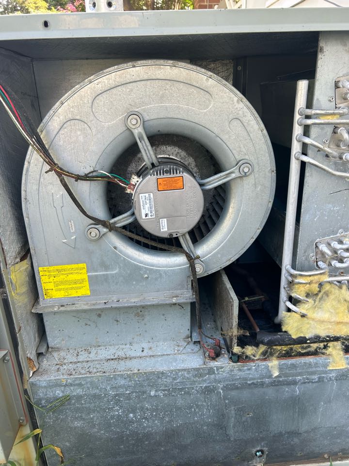 AC service on Daikin system in Rome, Texas