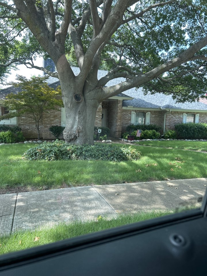 Maintenance in Plano