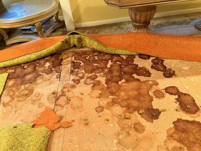 Demoing old carpet in Powder Springs, GA so we can install new subfloor and LVP.